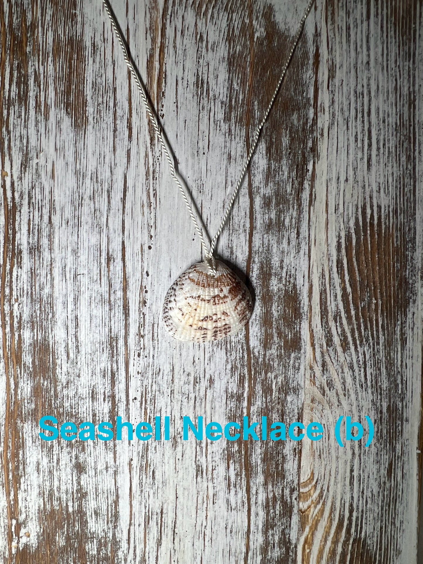 Genuine Seashell Necklace, wrapped on a 100% Silk Thread,  with a Geniune Agate Bead Enclosure