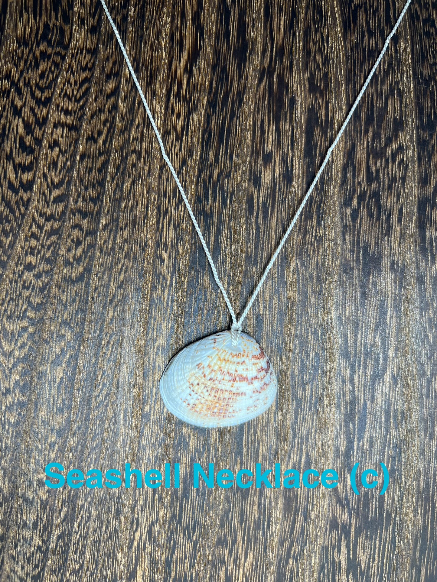 Genuine Seashell Necklace, wrapped on a 100% Silk Thread,  with a Geniune Agate Bead Enclosure