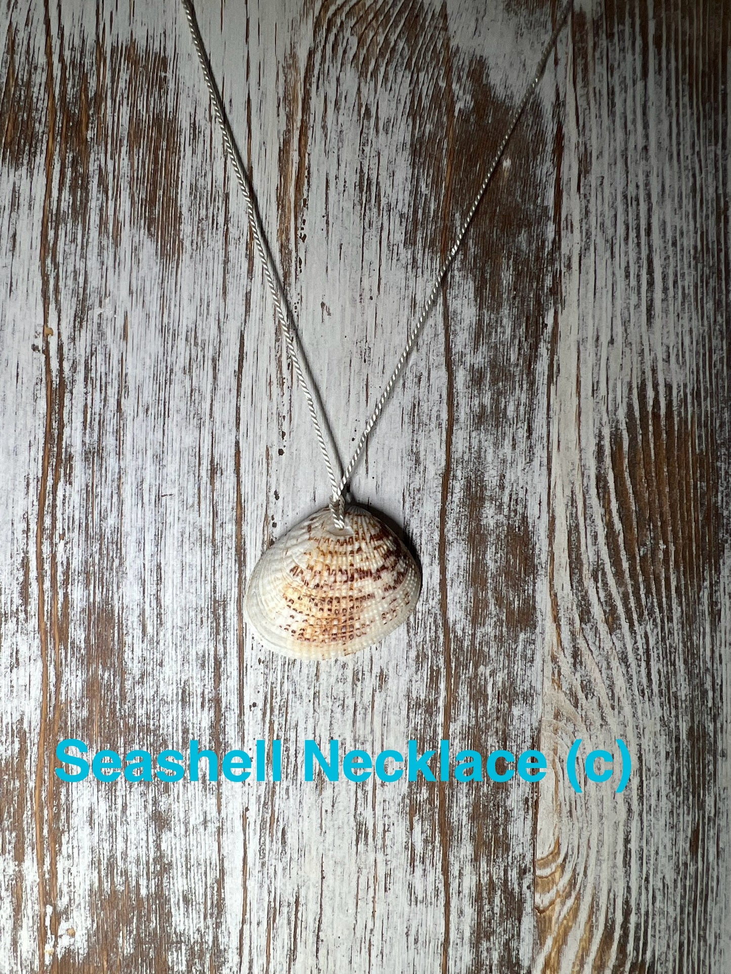 Genuine Seashell Necklace, wrapped on a 100% Silk Thread,  with a Geniune Agate Bead Enclosure