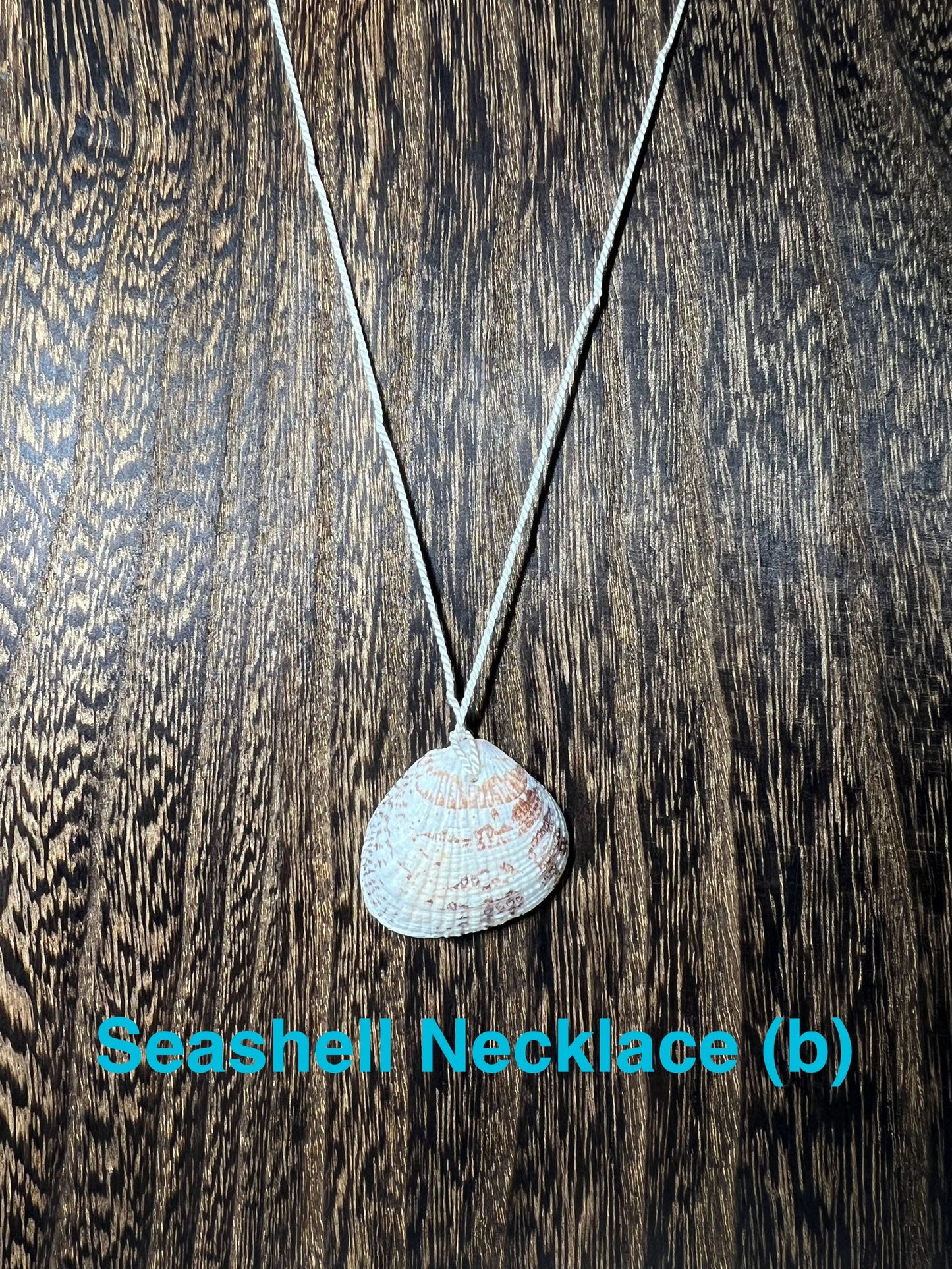 Genuine Seashell Necklace, wrapped on a 100% Silk Thread,  with a Geniune Agate Bead Enclosure